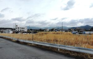 西本かつの　お宝 